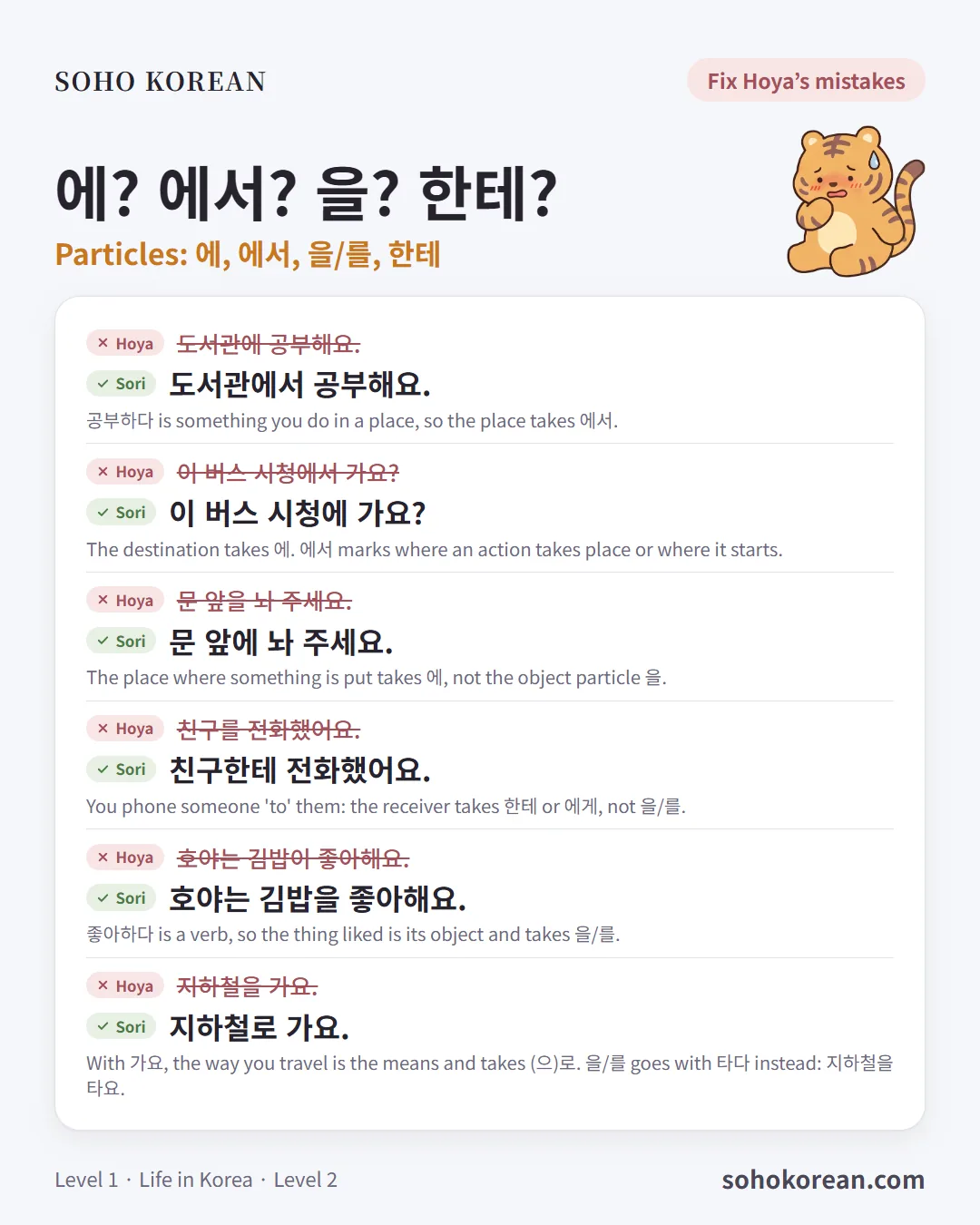 Phrase card “에? 에서? 을? 한테?”: 도서관에서 공부해요. …