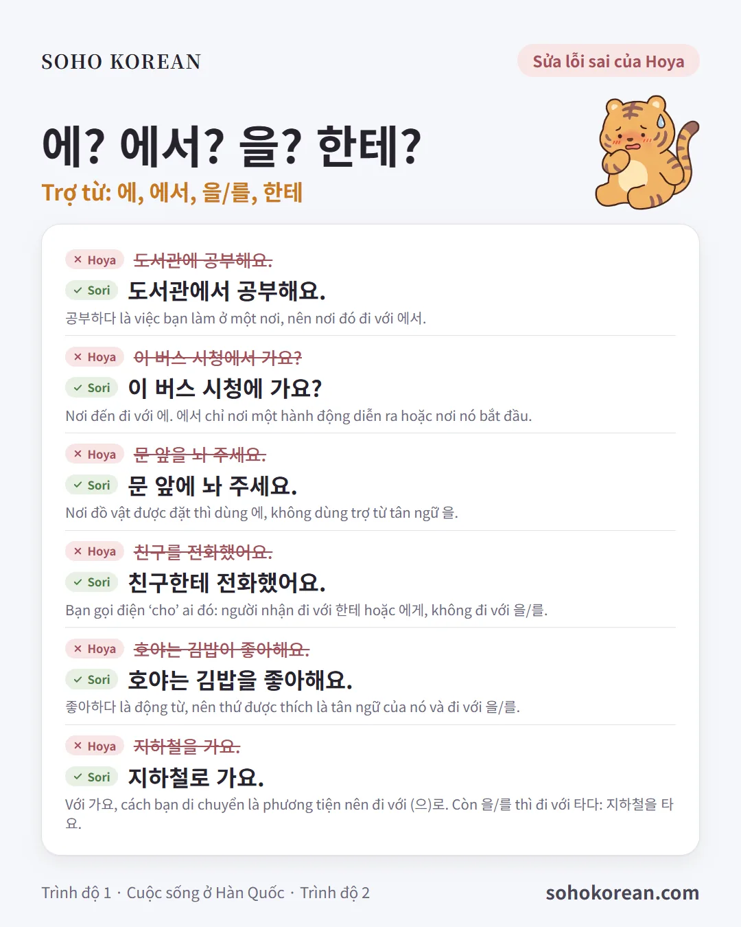 Thẻ mẫu câu “에? 에서? 을? 한테?”: 도서관에서 공부해요. …