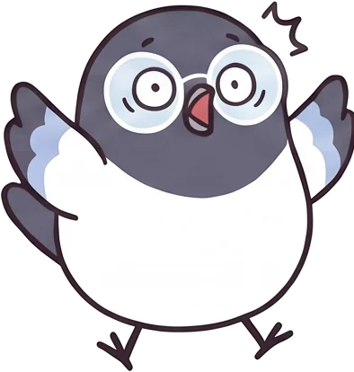 Sori the magpie